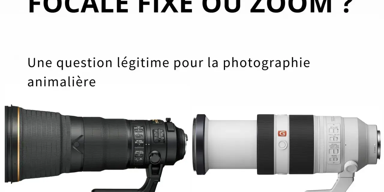 Deux téléobjectifs photo animalière, un noir et un blanc, côte à côte. Lequel choisir pour capturer la faune ?