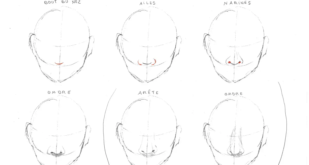 Étapes pour un nez dessin : bout, ailes, narines, ombre et arête.