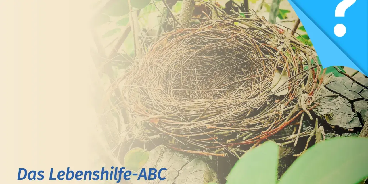 Leeres Vogelnest, Symbol für das "empty nest syndrom". Text: Das Lebenshilfe-ABC.
