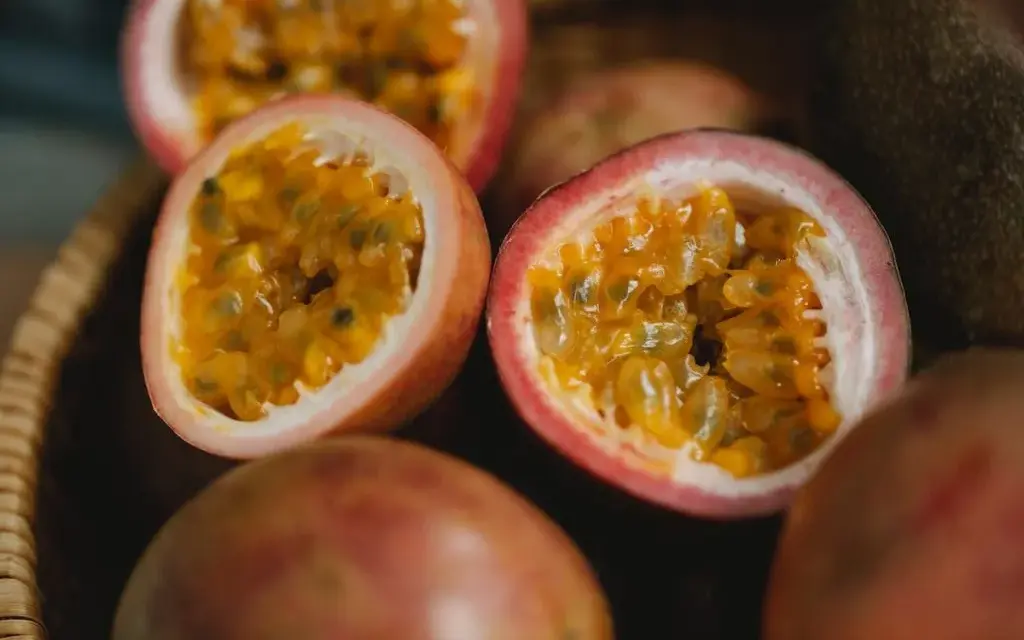 Obst Vitamine: Welche Früchte sind reich an wichtigen Nährstoffen?