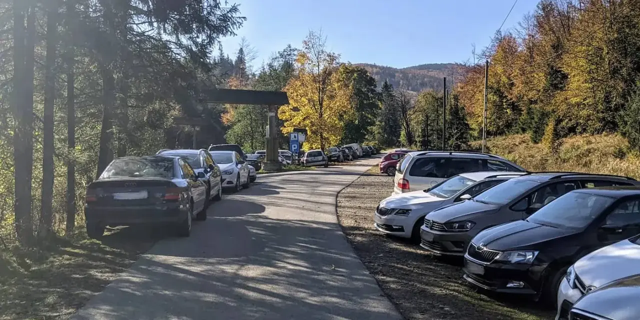Wielka racza samochodów na leśnym parkingu. Jesienne drzewa i góry w tle.