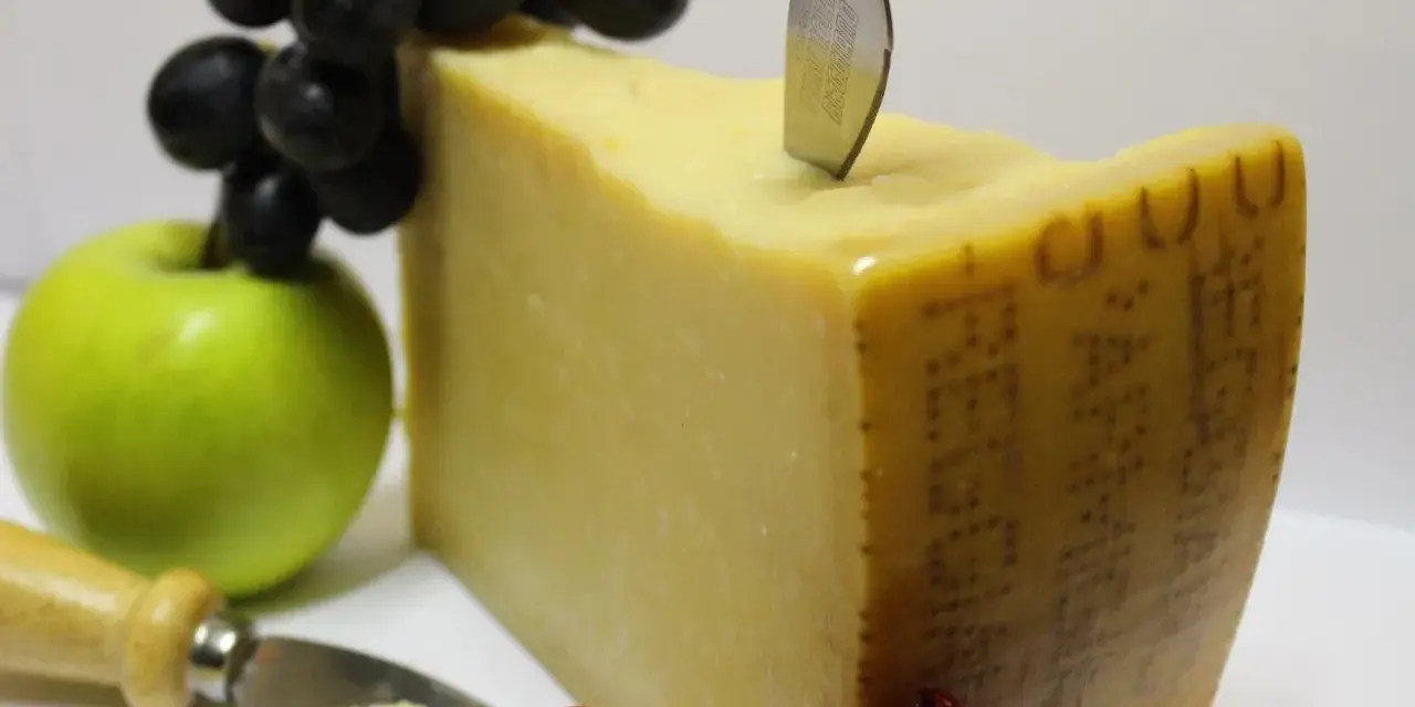Ein Stück Parmigiano Reggiano mit Trauben, Apfel und Chilis. Verschiedene parmesan sorten sind hier schön arrangiert.