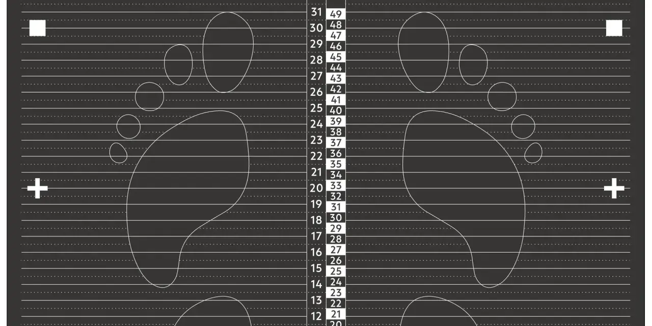 Tabela rozmiarów butów: 22.5 cm to rozmiar 36 EU. Pomiar stopy pomoże dobrać idealne obuwie.
