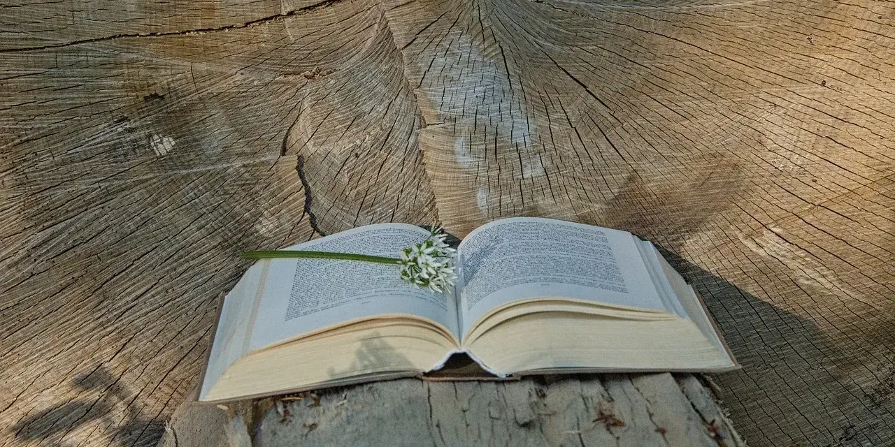 Otwarta księga na pniu drzewa, z kwiatem na stronach. W tle widoczne słoje drewna. Czytanie psalm 4 w naturze.