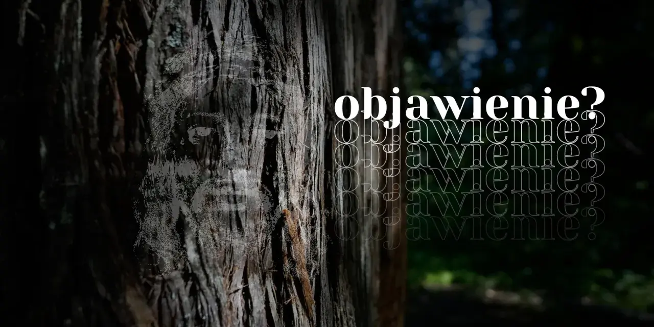 Na pniu drzewa widnieje twarz, jakby objawienie. Obok powtarza się słowo "objawienie?".