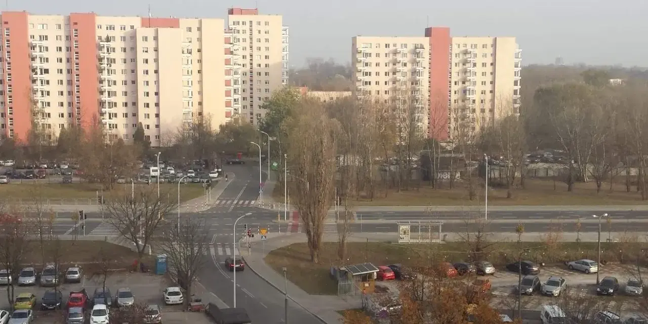 Ustanie członkostwa w spółdzielni: przyczyny, procedury i prawa