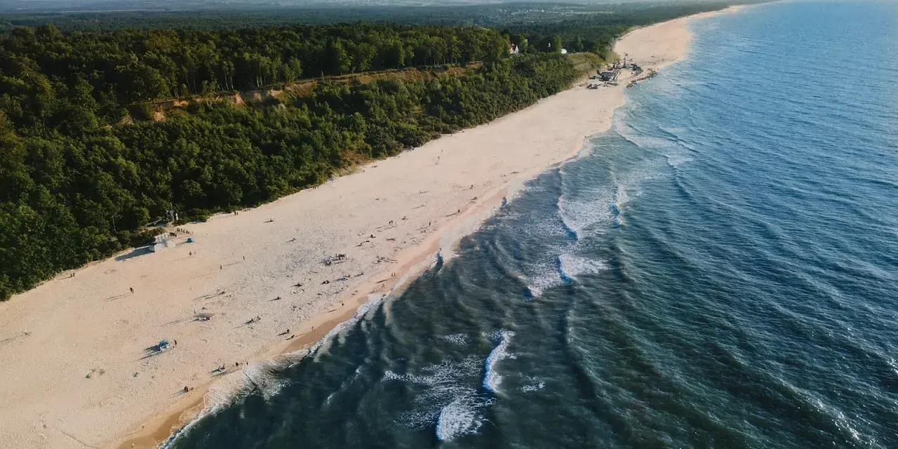 Widok z lotu ptaka na piaszczystą plażę, las i morze w Jastrzębiej Górze.