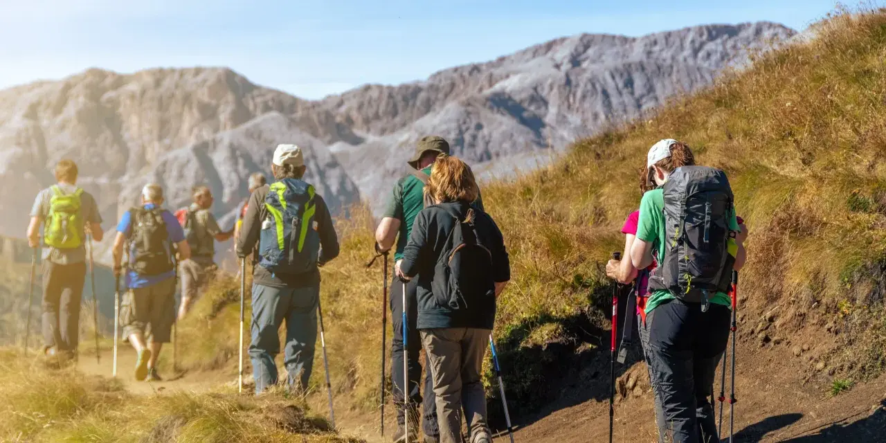 Grupa osób wyruszyła na wędrówkę. Wszyscy mają plecaki i kije do nordic walking, przemierzając górski szlak.