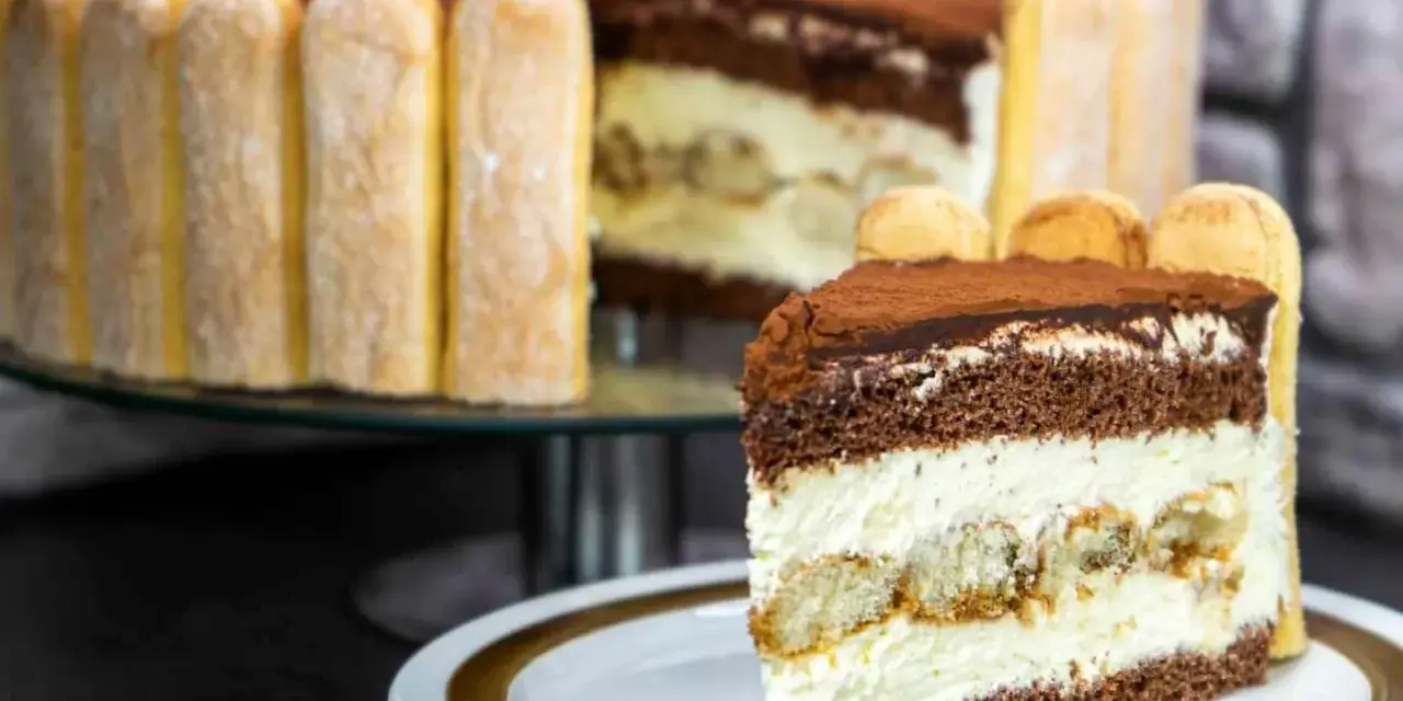 Ein Stück Tiramisu Torte mit Löffelbiskuits und Kakao bestäubt. Im Hintergrund die ganze Torte, ebenfalls mit Löffelbiskuits umrandet.