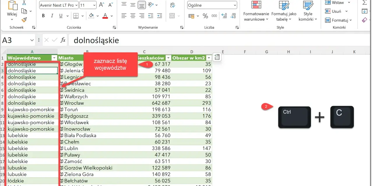W Excelu zaznaczono listę województw. Widoczny jest przycisk Ctrl+C do kopiowania.