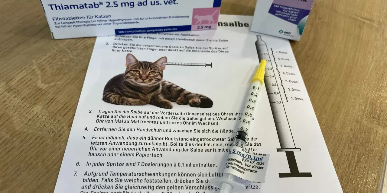 Wichtige Medikamente bei Schilddrüsenüberfunktion bei Katzen und ihre Wirkung