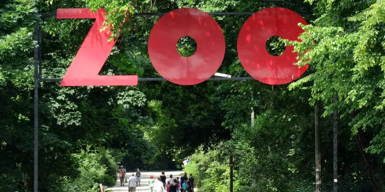 Duże czerwone litery "ZOO" nad alejką w parku. Wiele zoo w Polsce zaprasza na spacer.