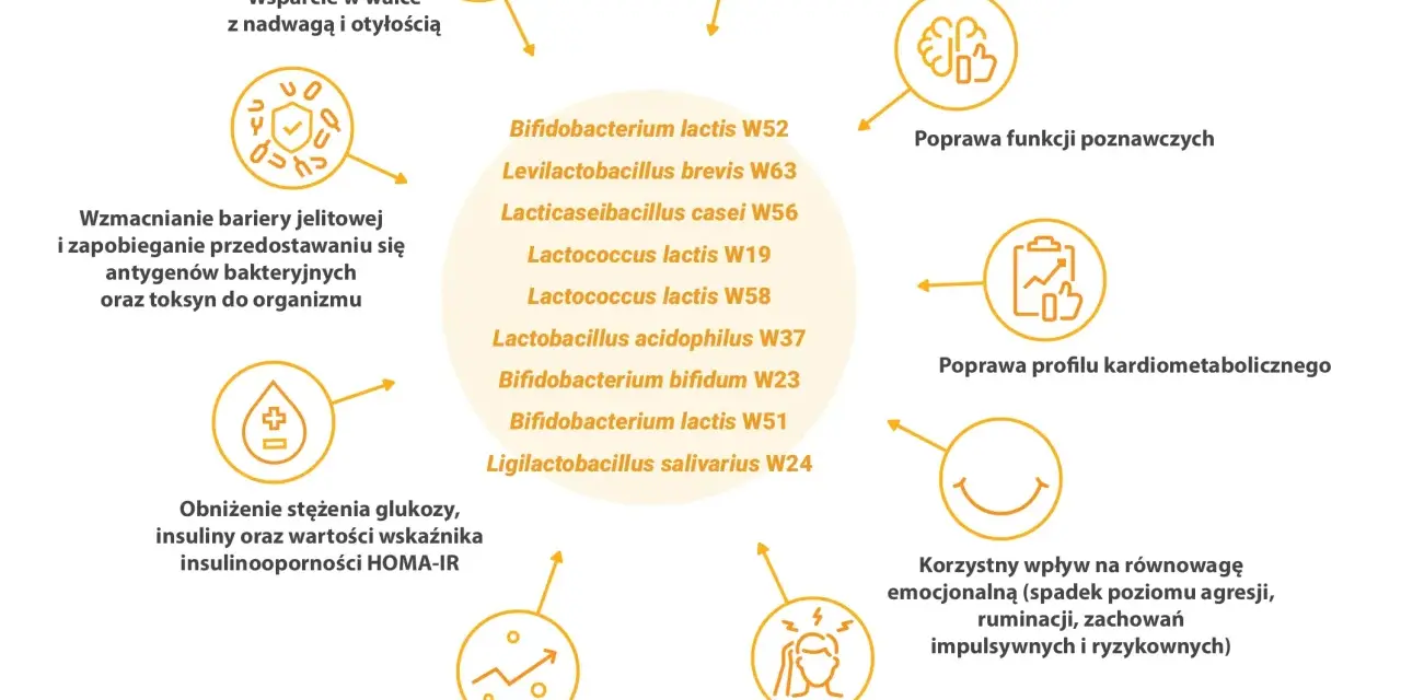Diagram przedstawia korzyści z probiotyków, m.in. wsparcie w walce z nadwagą, poprawę funkcji poznawczych i tolerancji metforminy.