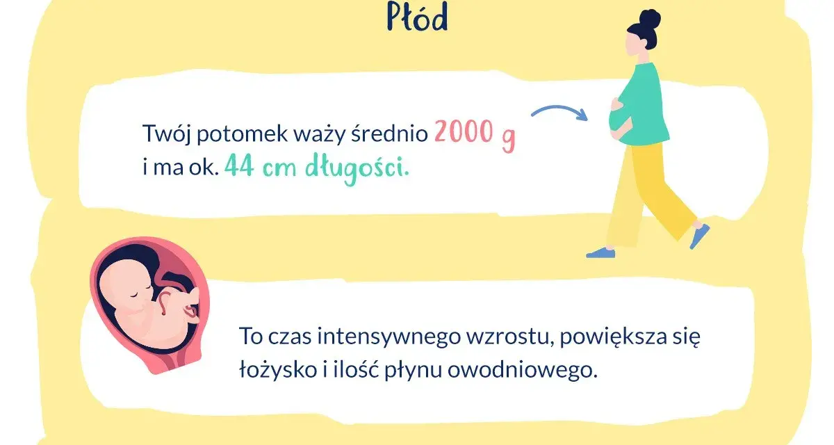 W 33 tygodniu ciąży płód waży ok. 2000 g i ma 44 cm. To czas intensywnego wzrostu.