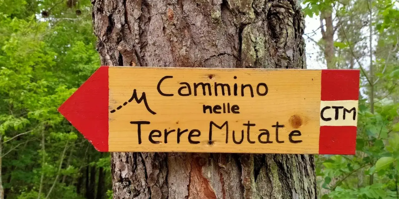 Cartello in legno con freccia rossa indica il "Cammino nelle Terre Mutate". CTM.