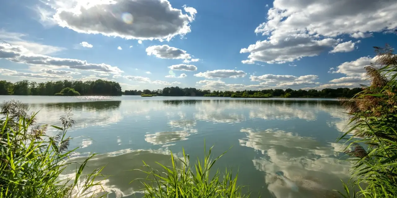 Sonnenschein über dem celle see, mit Wolken, die sich im ruhigen Wasser spiegeln. Schilf säumt das Ufer.