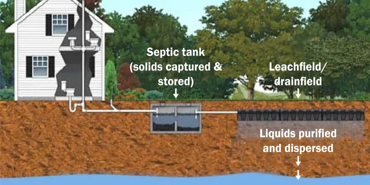 Diagram of a typical subsurface septic system, showing how waste flows from a house to a septic tank for solids capture, then to a leachfield for purification and dispersal, protecting groundwater. Regular septic system maintenance is key.