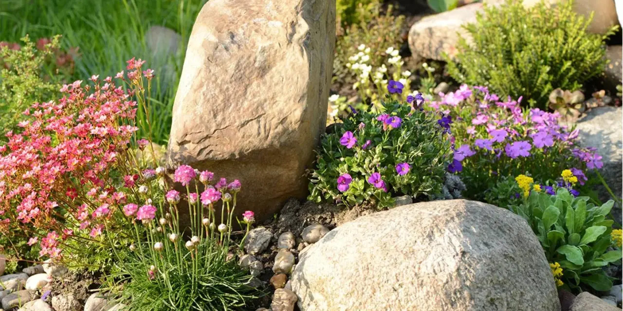 Natürliche Steine und bunte Blumen verschönern den Garten. Ein Steinbeet mit rosa und lila Blüten, ideal zum **Garten dekorieren mit Steinen**.