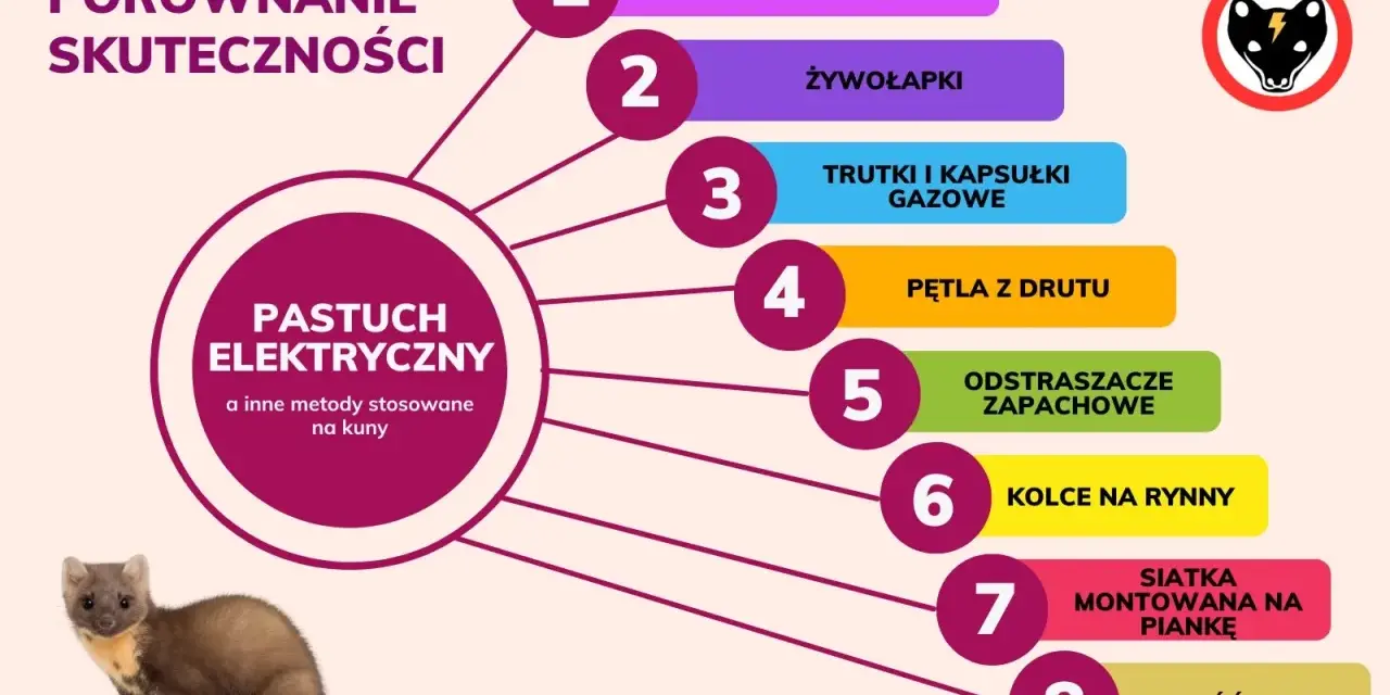 Porównanie skuteczności metod co odstrasza kuny: pastuch elektryczny, ultradźwięki, żywołapki, trutki, odstraszacze zapachowe, sierść psa i inne.