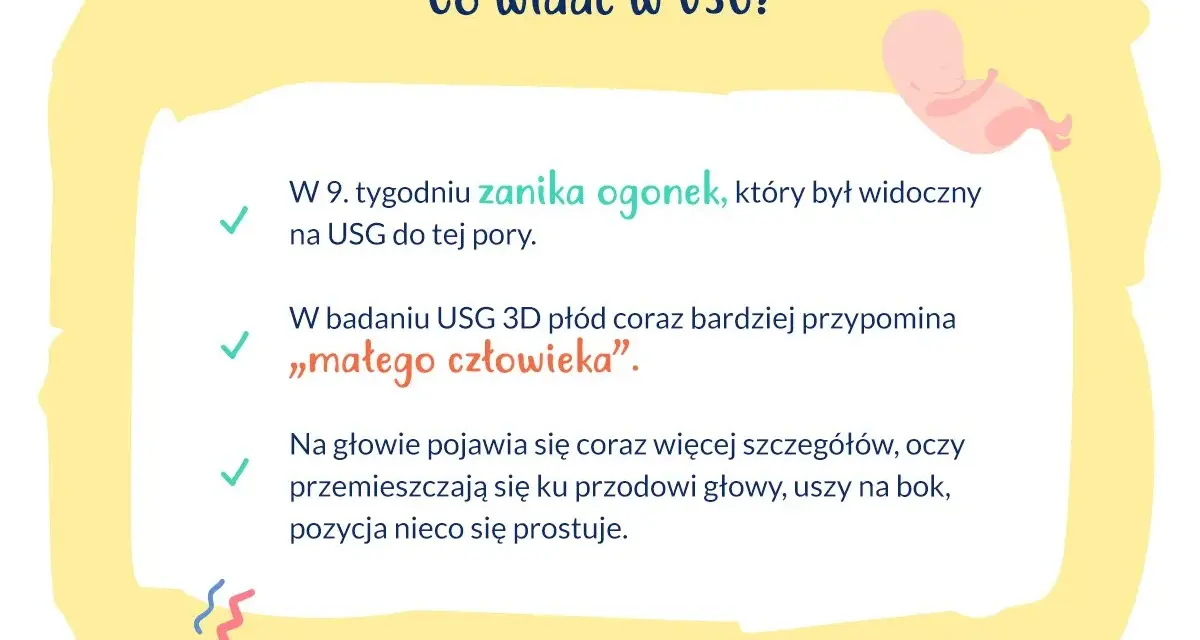 W 9. tygodniu ciąży, który to miesiąc rozwoju, płód na USG przypomina "małego człowieka". Zanika ogonek, pojawiają się szczegóły na głowie.