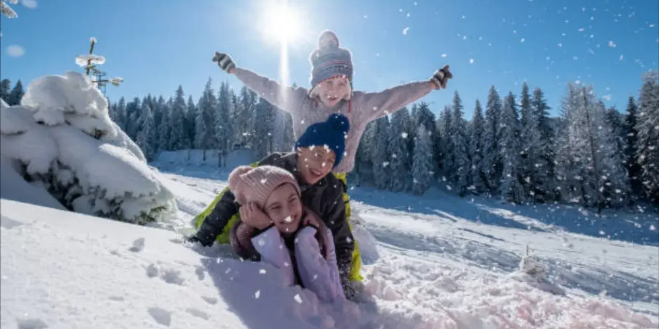 Niños felices en trineo, disfrutando de las vacaciones de invierno cuando empiezan. Nieve cayendo, sol brillante y árboles nevados.
