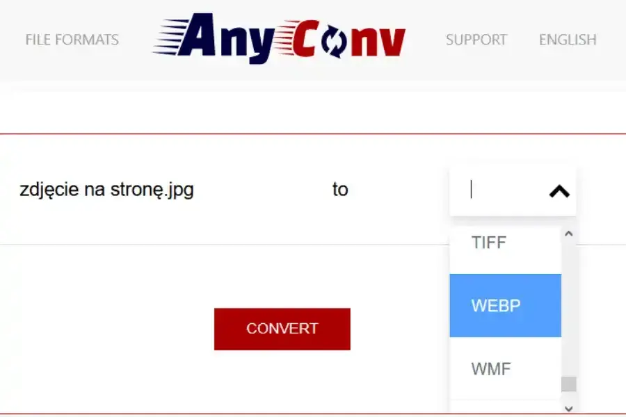 Jaki format zdjęć na stronę? WebP i AVIF to klucz do szybkiej strony