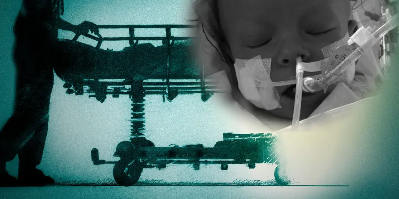 Echo serca czy EKG? Odkryj, co naprawdę widzi Twoje serce