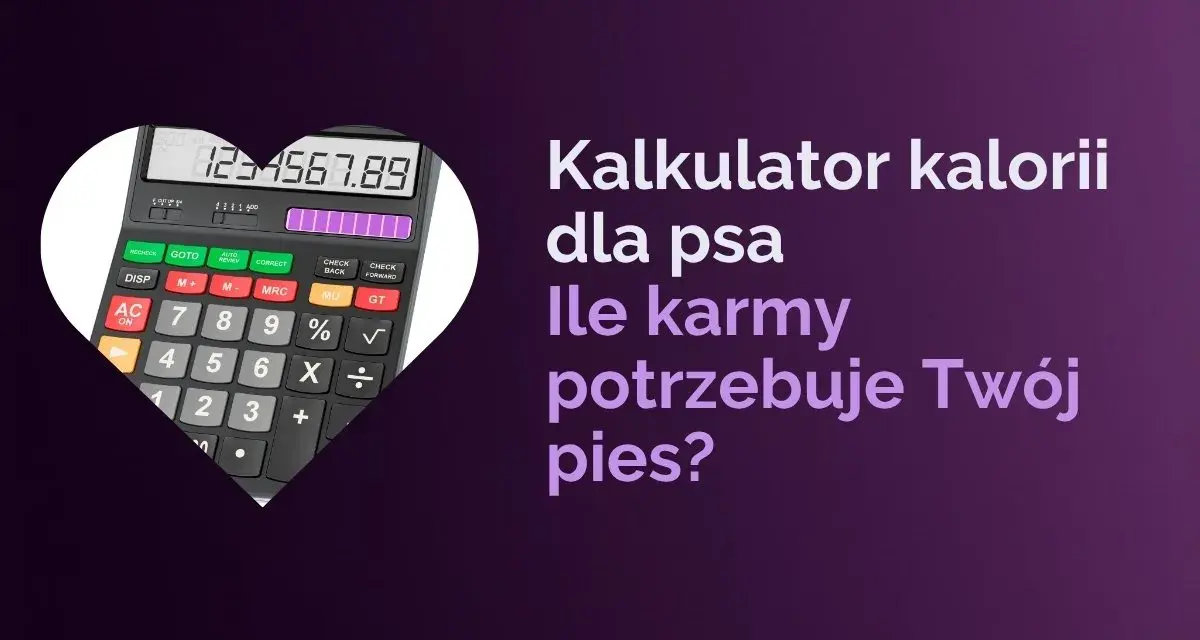 Kalkulator kalorii dla psa pomoże Ci ustalić, ile powinien jeść labrador szczeniak. Oblicz idealną porcję karmy dla swojego pupila.