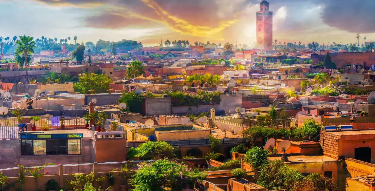 Marrakesz w styczniu: słoneczna pogoda nad miastem z minaretem Koutoubia w tle. Dachy pełne zieleni i anten satelitarnych.