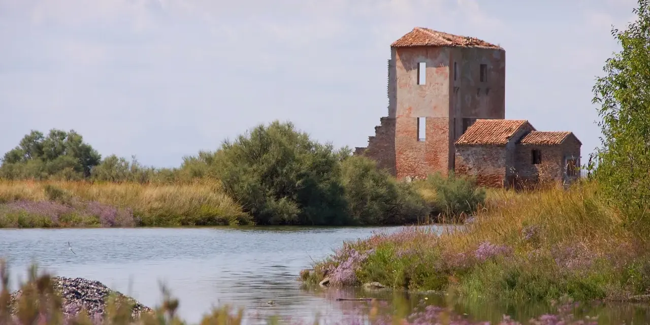 Rovine di un antico edificio tra canneti e fiori viola, un paesaggio suggestivo nei dintorni di Ferrara.
