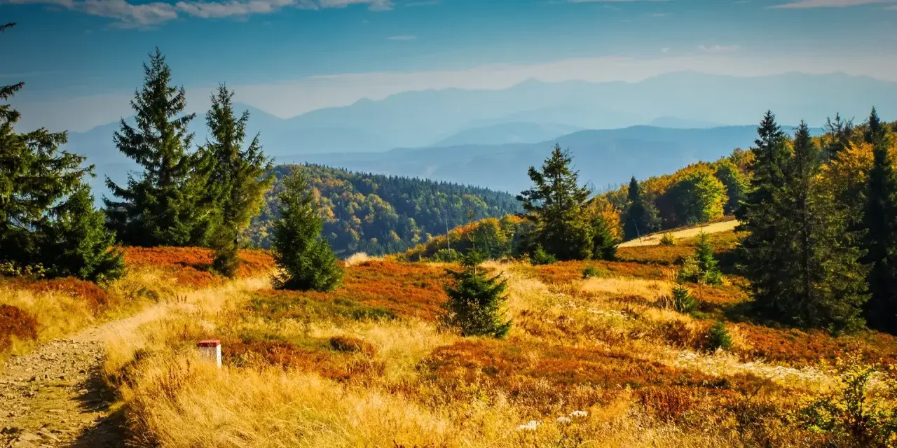 Malowniczy szlak przez jesienne wzgórza Beskidów, idealne miejsce, gdzie warto pojechać w góry latem, by podziwiać piękne krajobrazy.