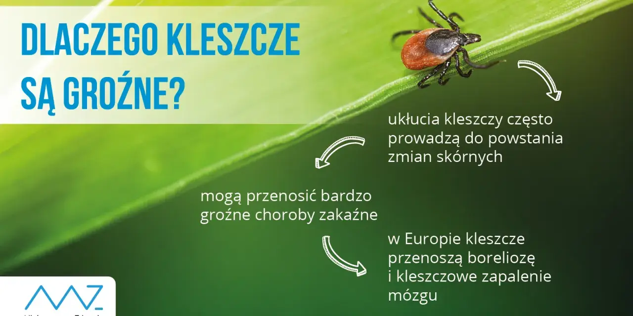Kleszcz w pralce: Czy przeżyje? Jak go zabić na pewno?