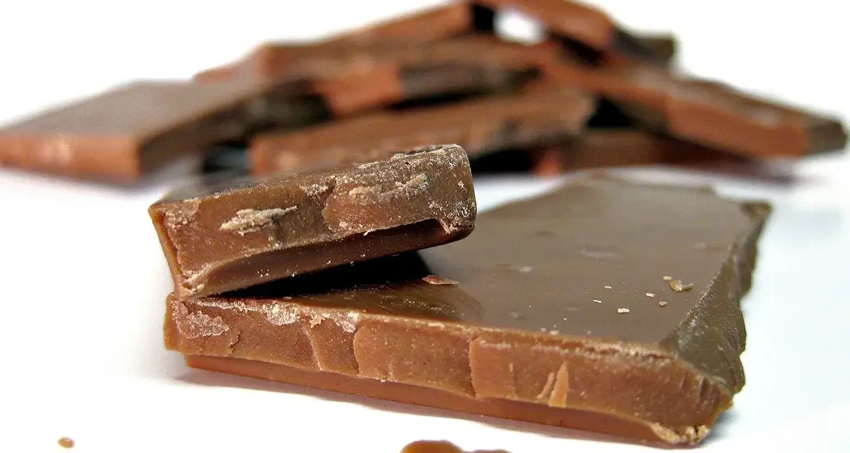 En hög med chokladbitar, några staplade, andra utspridda. Chokladfinnarna ser sega och söta ut.