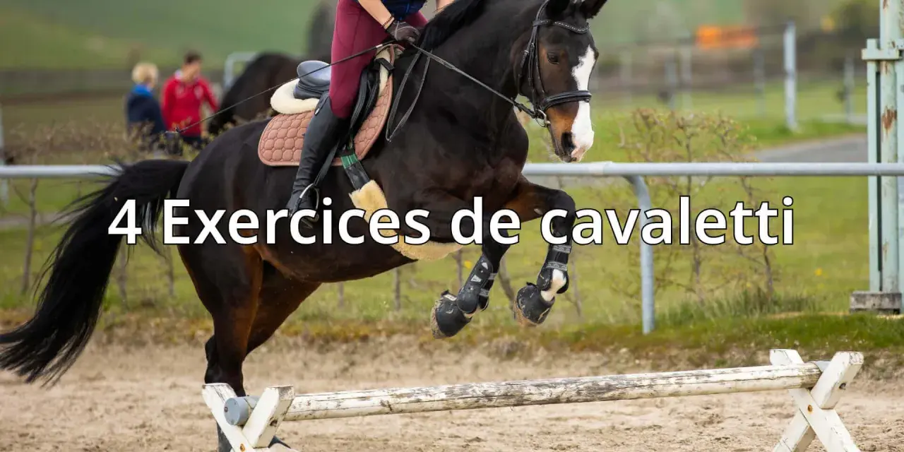 Un cheval brun saute par-dessus un obstacle de **cavaletti équitation**. Le cavalier est en selle, prêt pour l'entraînement.