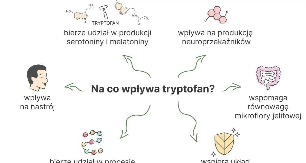 Ilustracja przedstawia schemat wpływu tryptofanu na organizm: produkcję neuroprzekaźników, nastrój, syntezę białek, mikroflorę jelitową i odporność.