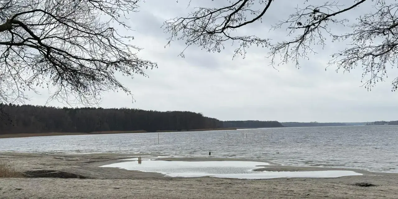 Plaża nad jeziorem, z widokiem na las. W oddali widać słupy, być może pozostałości po dawnej infrastrukturze pola namiotowego Anastazewo.