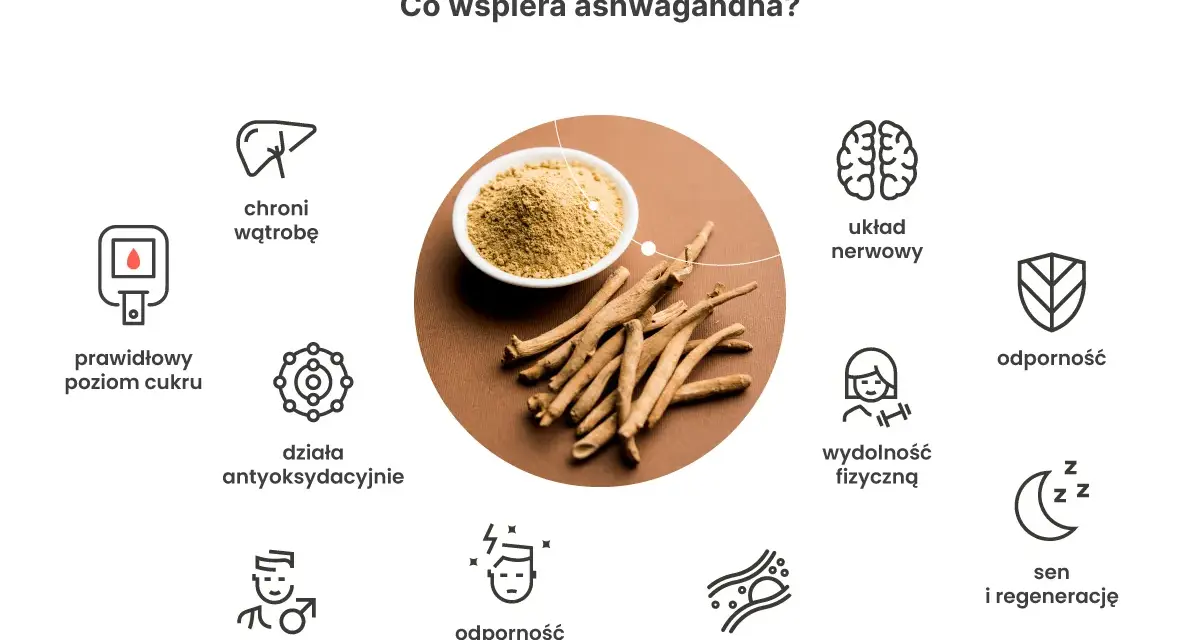 Ashwagandha wspiera: prawidłowy poziom cukru, wątrobę, układ nerwowy, odporność, wydolność fizyczną, sen, płodność, gospodarkę lipidową i działa antyoksydacyjnie.