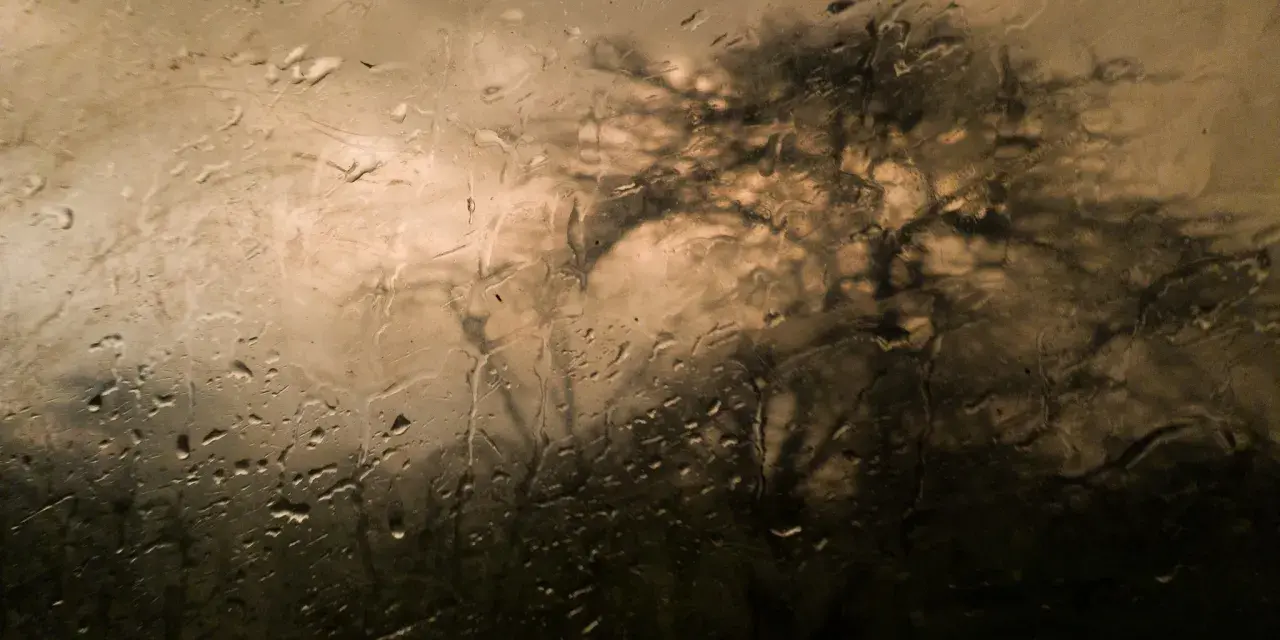 Gouttes de pluie sur une vitre, floutant l'ombre d'un arbre. Belles photos sous la pluie, une ambiance mélancolique et artistique.