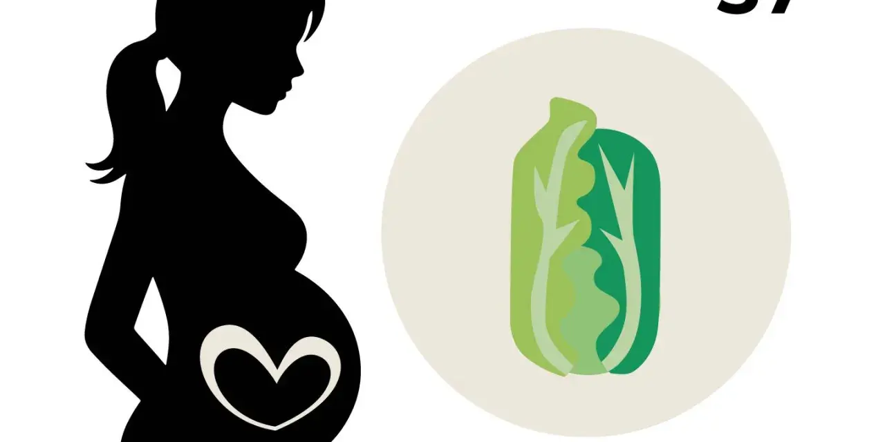 Silhouetten einer schwangeren Frau mit einem Herzsymbol auf dem Bauch. Daneben eine Illustration eines Salatkopfes und die Zahl 37, die die 37. SSW symbolisiert.