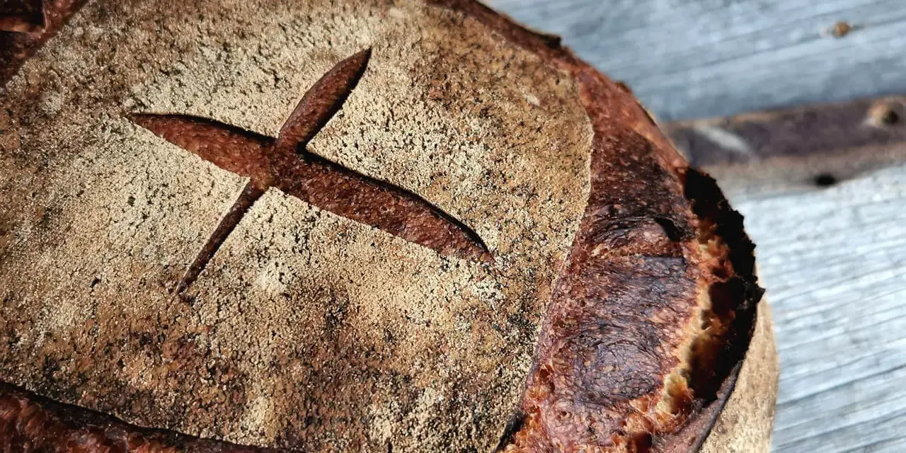 Ein frisch gebackenes Brot mit dunkler Kruste und einem Kreuzschnitt. So wird selbstgebackenes Brot dunkel: durch die Maillard-Reaktion beim Backen.