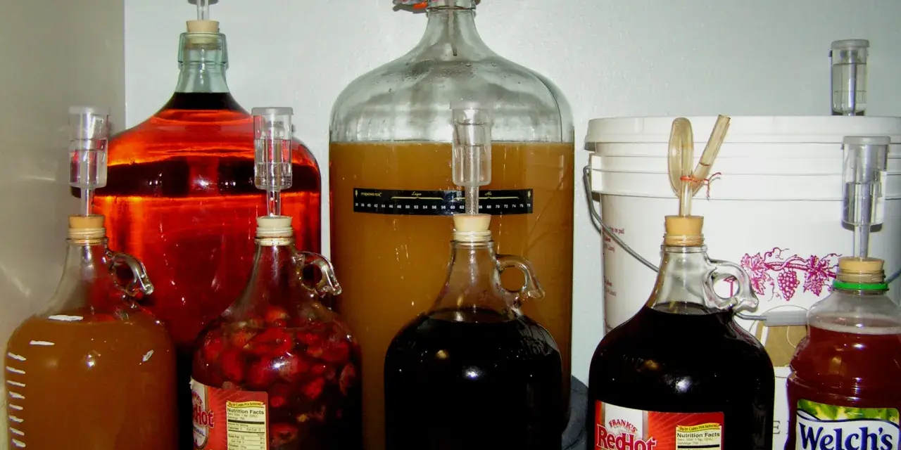 Wiele butli z fermentującym winem własnej produkcji, w tym z owocami i sokiem.