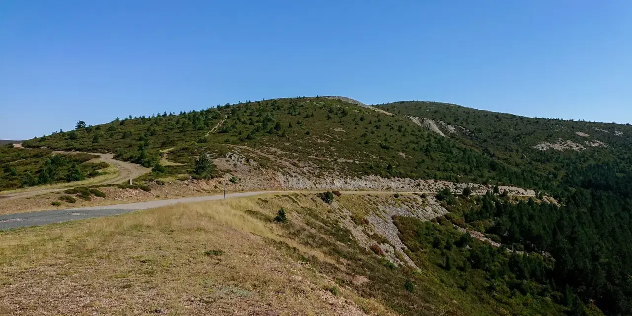 Carretera serpenteante en un paso de montaña cubierto de vegetación y árboles.