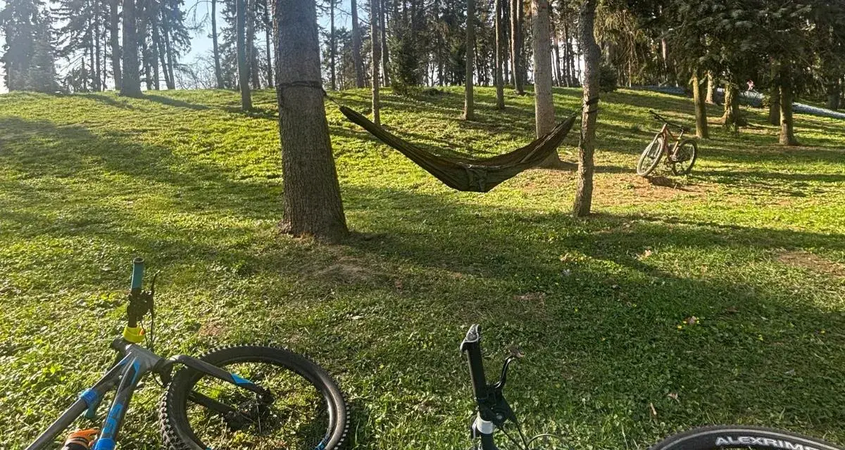 Relaks po przejażdżce po trasach rowerowych okolic Warszawy. Hamak i rowery czekają na odpoczynek w lesie.