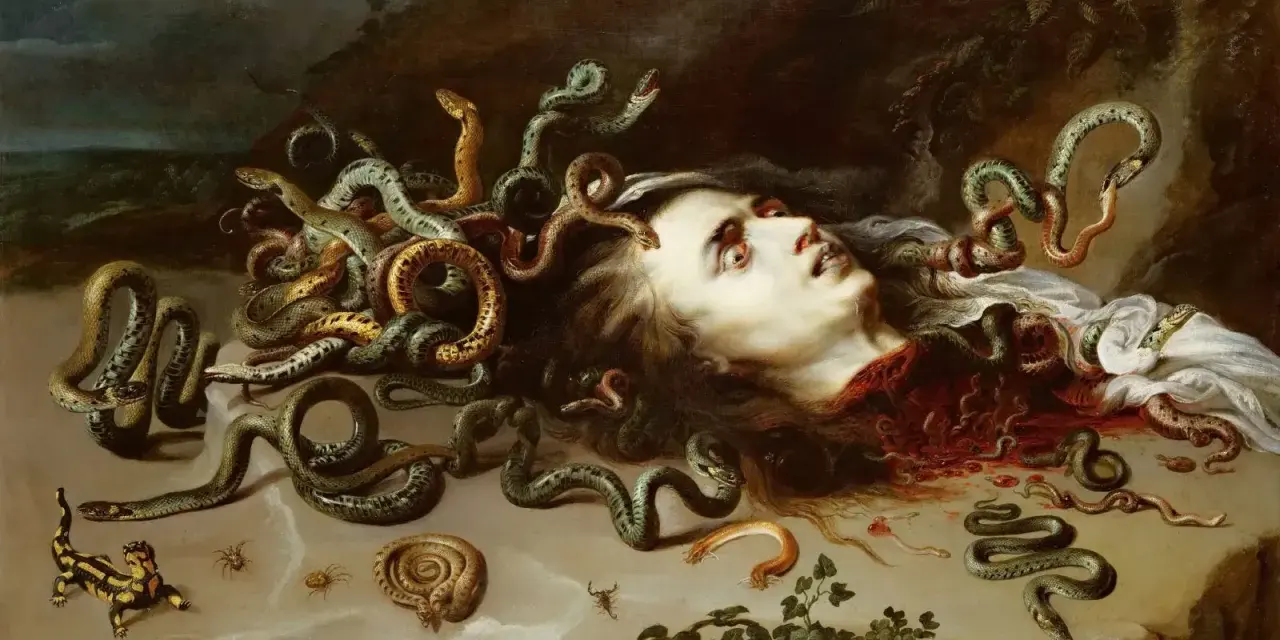 Obcięta głowa Meduzy, z której wyrastają węże. Obok niej salamandra, pająki i skorpion.