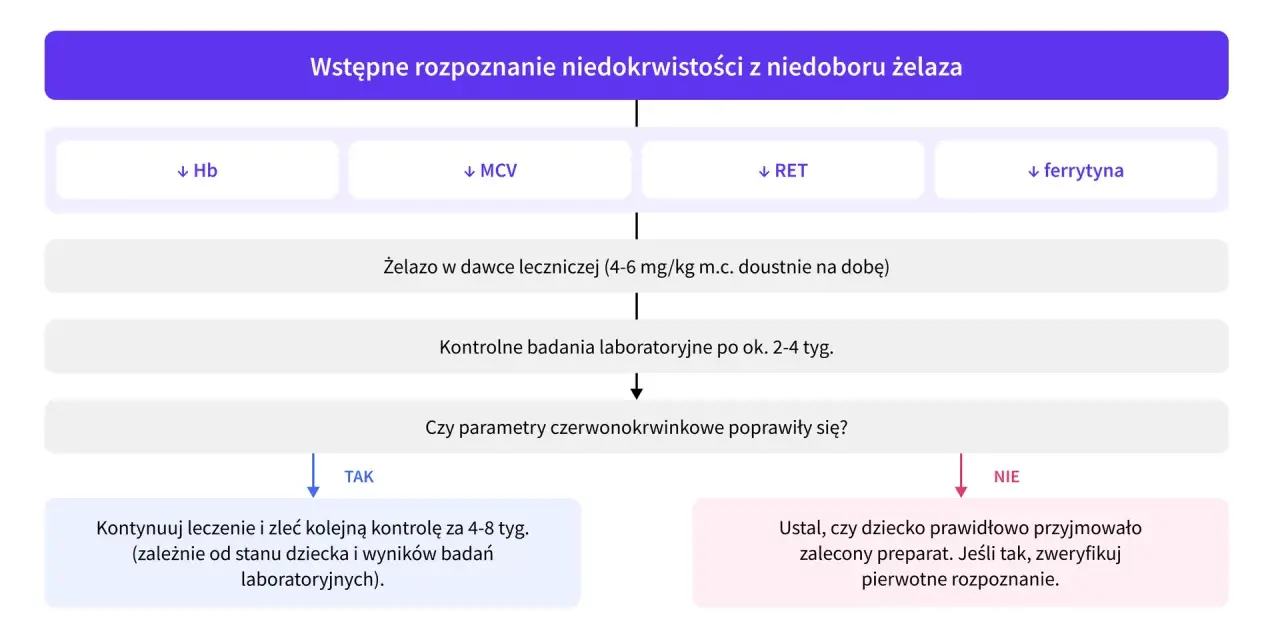 Schemat diagnostyki niedokrwistości z niedoboru żelaza u niemowlaka. Wskazuje na badania, dawkowanie żelaza i kontrolę leczenia.