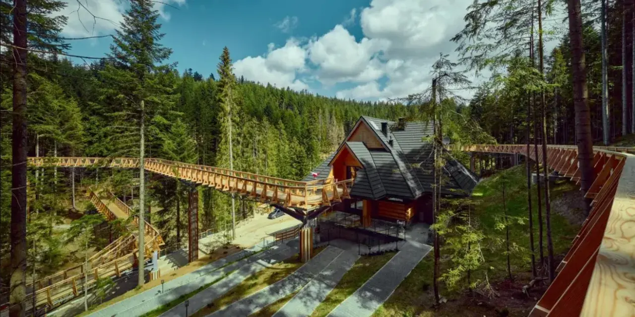 Drewniana ścieżka w koronach drzew i góralski domek to główne waksmund atrakcje. Wspaniałe widoki na las i Tatry.
