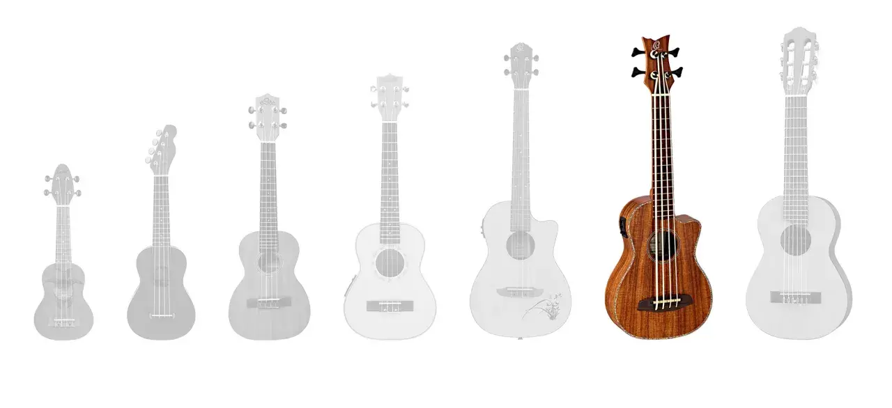 Eine Reihe von Ukulelen und einer Bassgitarre, ideal für die Musikschule.