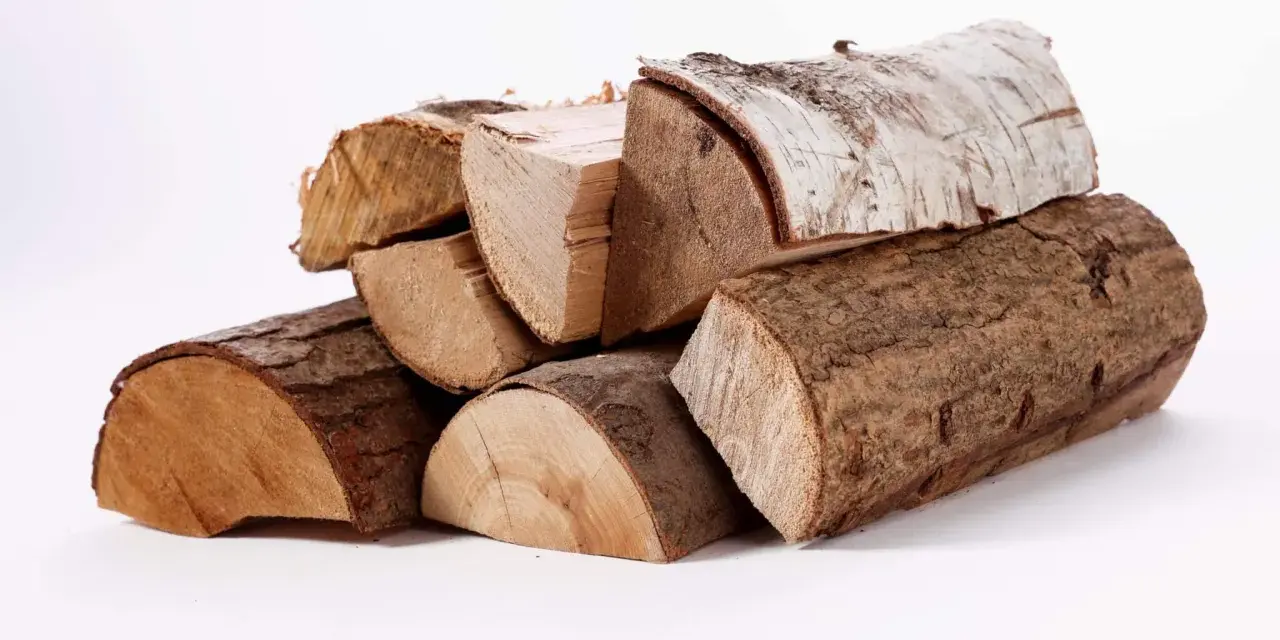 Un tas de bois g1, certains avec écorce, d'autres coupés, prêts pour un feu de cheminée.