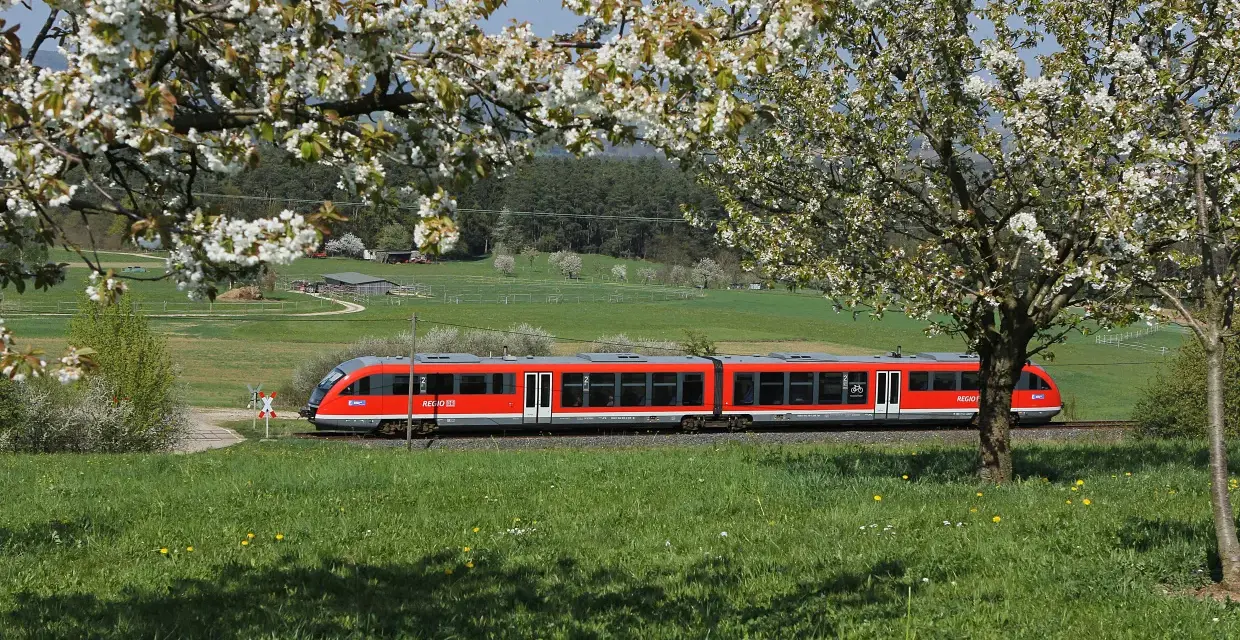 Czerwony pociąg REGIO mija kwitnące drzewa. Może to pociąg do Budapesztu?