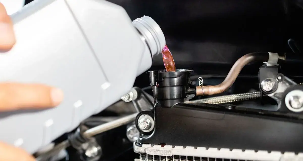 Ręka wylewa różowy płyn chłodniczy z butelki do chłodnicy. Dbanie o wymianę płynu chłodniczego to klucz do sprawnego działania silnika.
